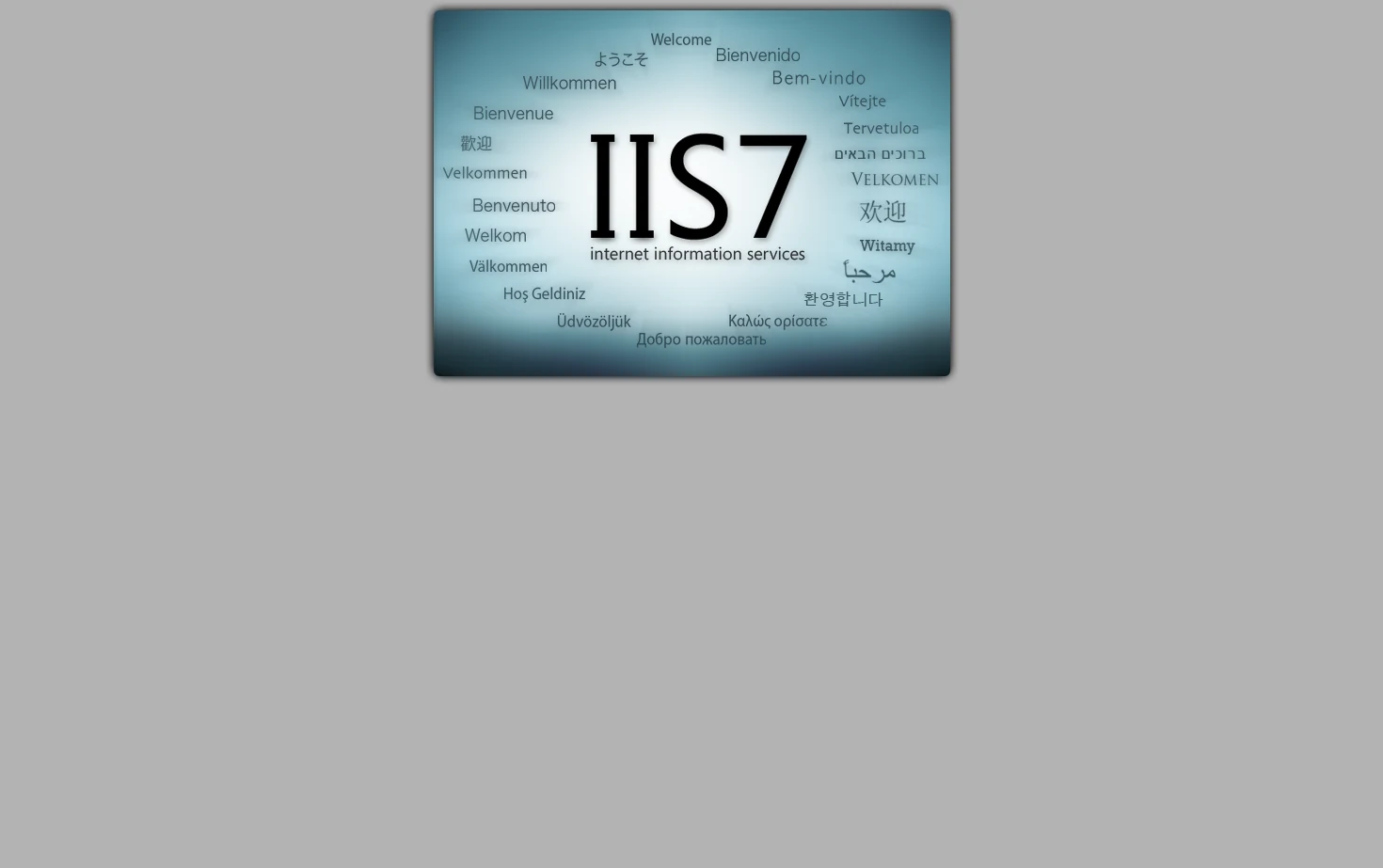 IIS7 页面快照